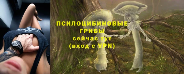 спиды Аркадак